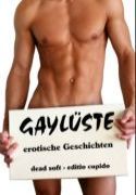 Gaylueste Cover